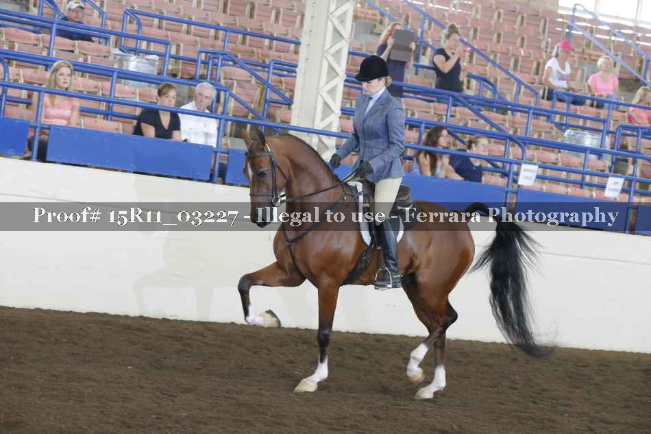 Proof 15R11_03227