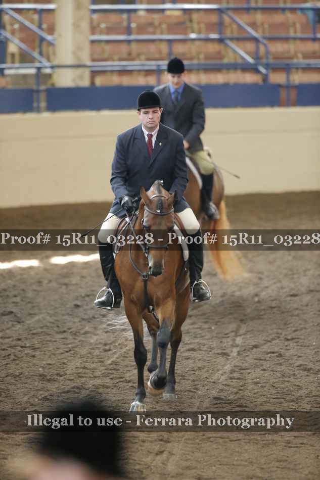 Proof 15R11_03228