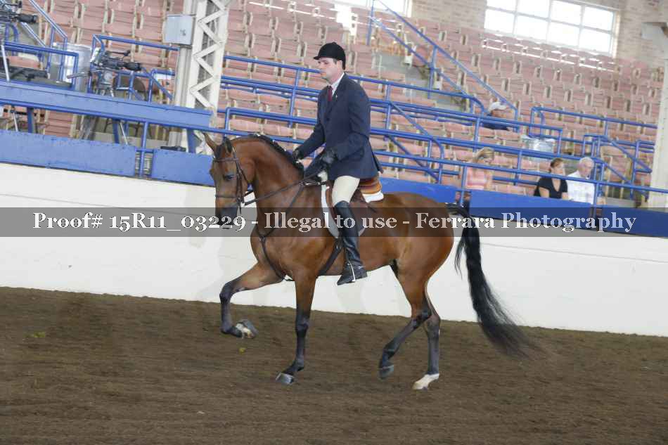 Proof 15R11_03229
