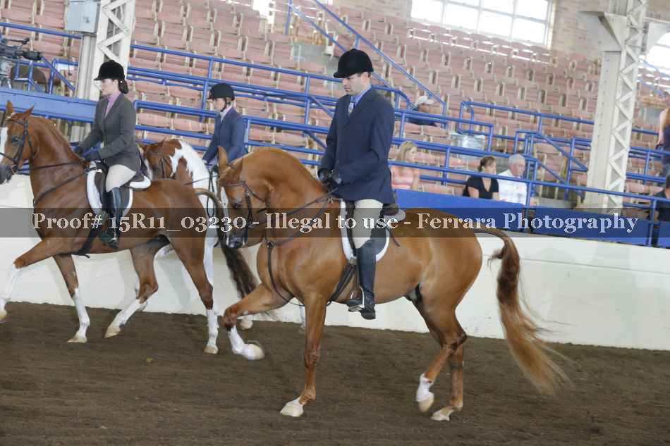 Proof 15R11_03230