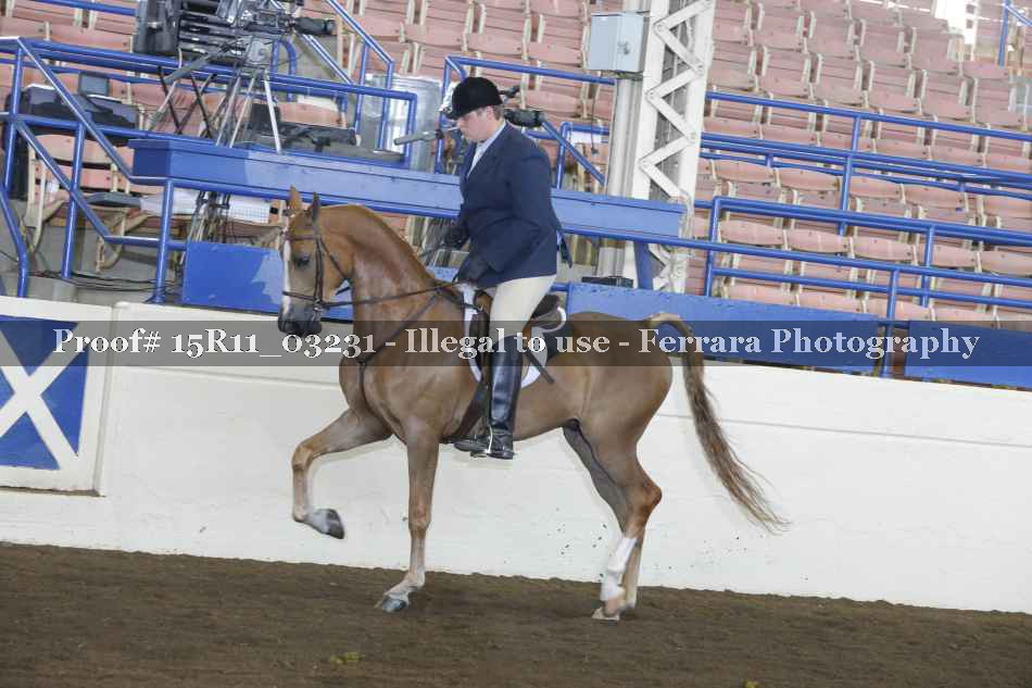 Proof 15R11_03231