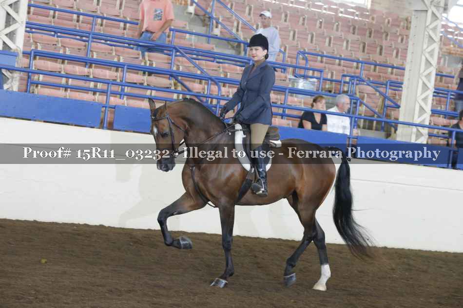 Proof 15R11_03232