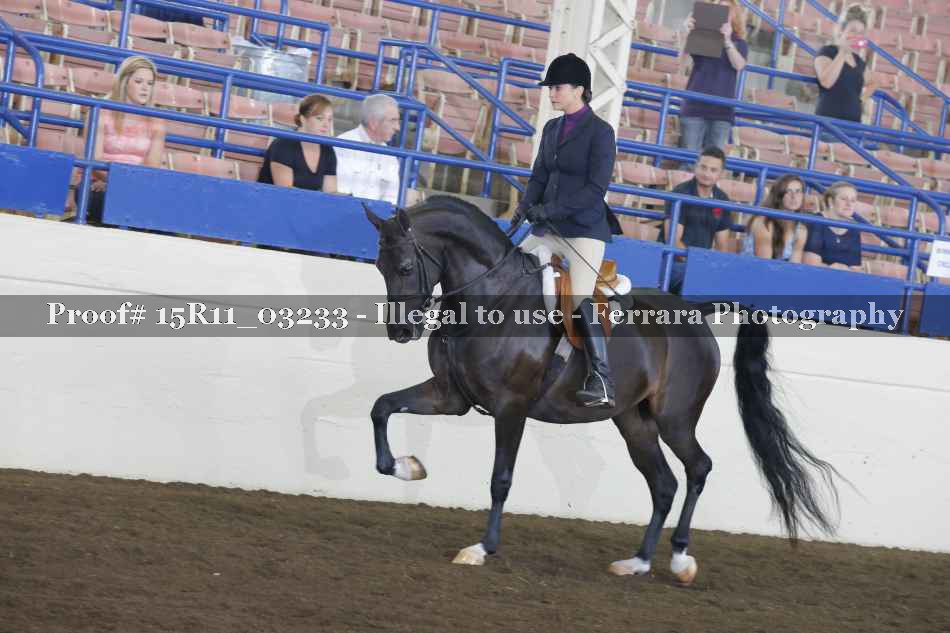 Proof 15R11_03233