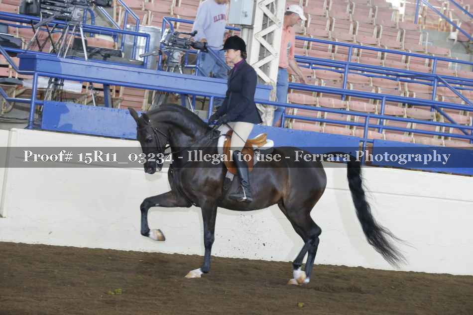 Proof 15R11_03234