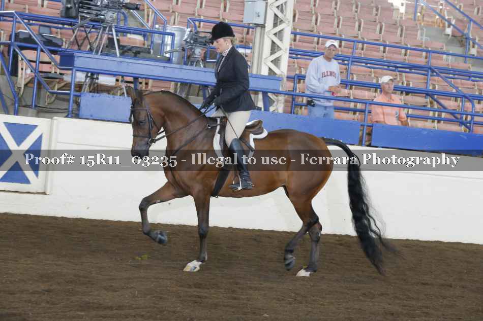 Proof 15R11_03235