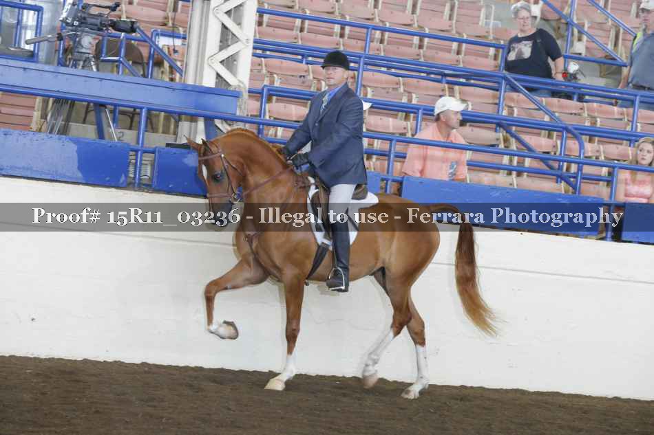 Proof 15R11_03236