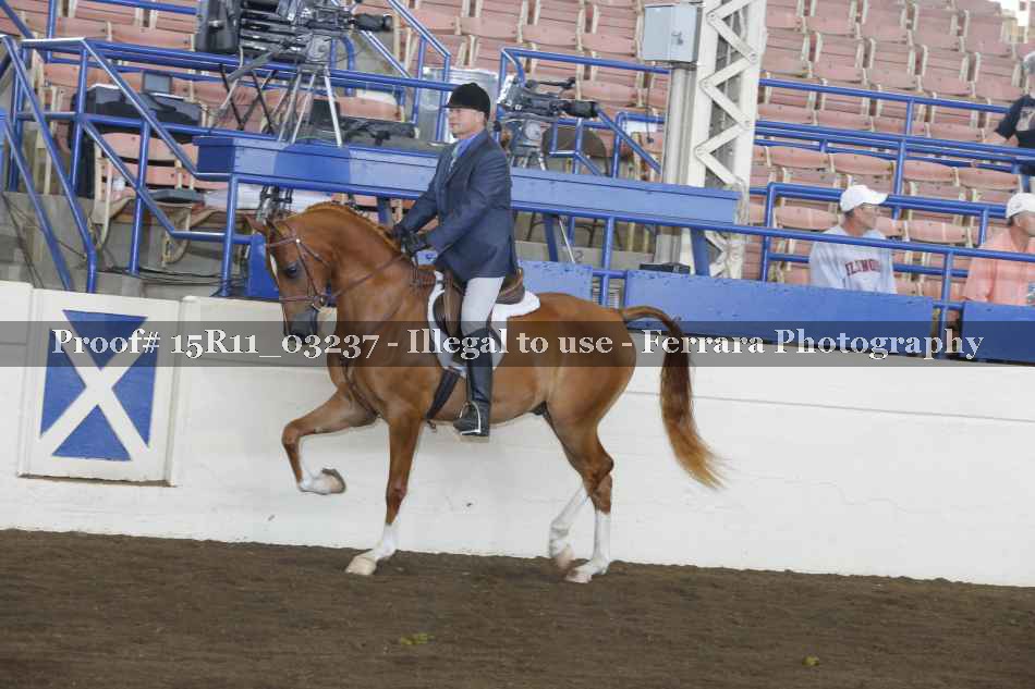 Proof 15R11_03237