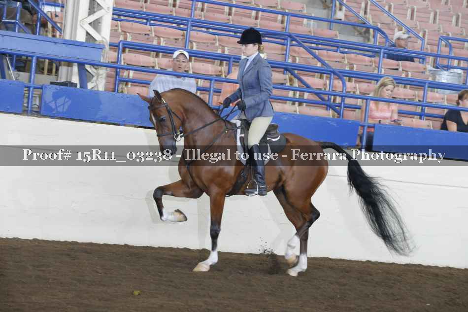 Proof 15R11_03238