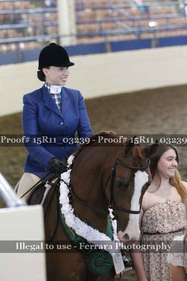 Proof 15R11_03239