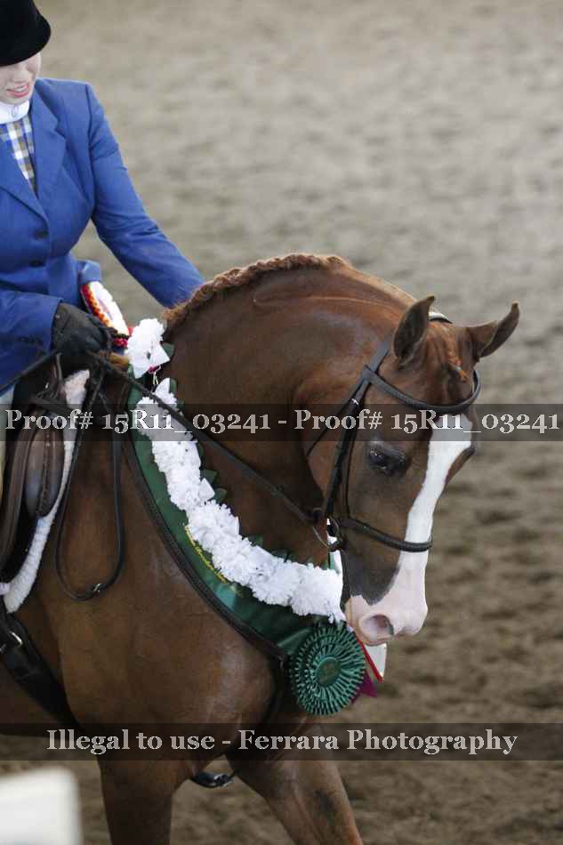 Proof 15R11_03241