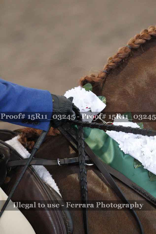 Proof 15R11_03245