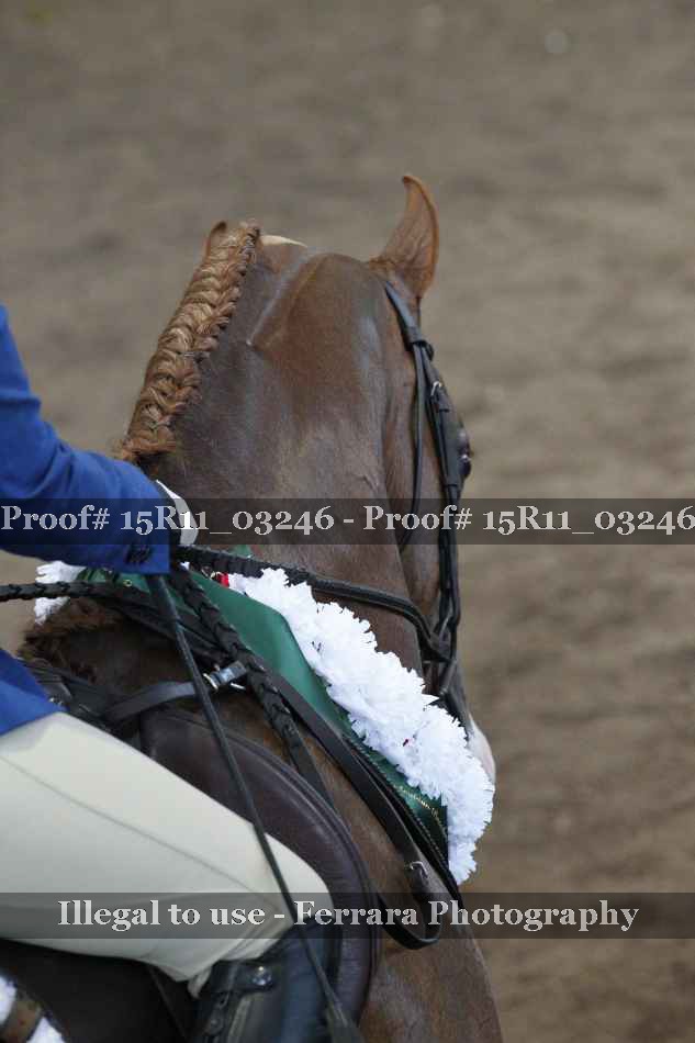 Proof 15R11_03246