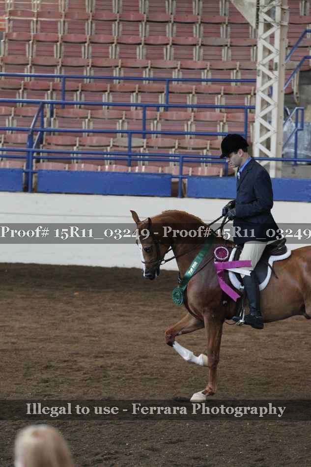 Proof 15R11_03249