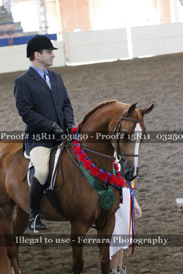Proof 15R11_03250