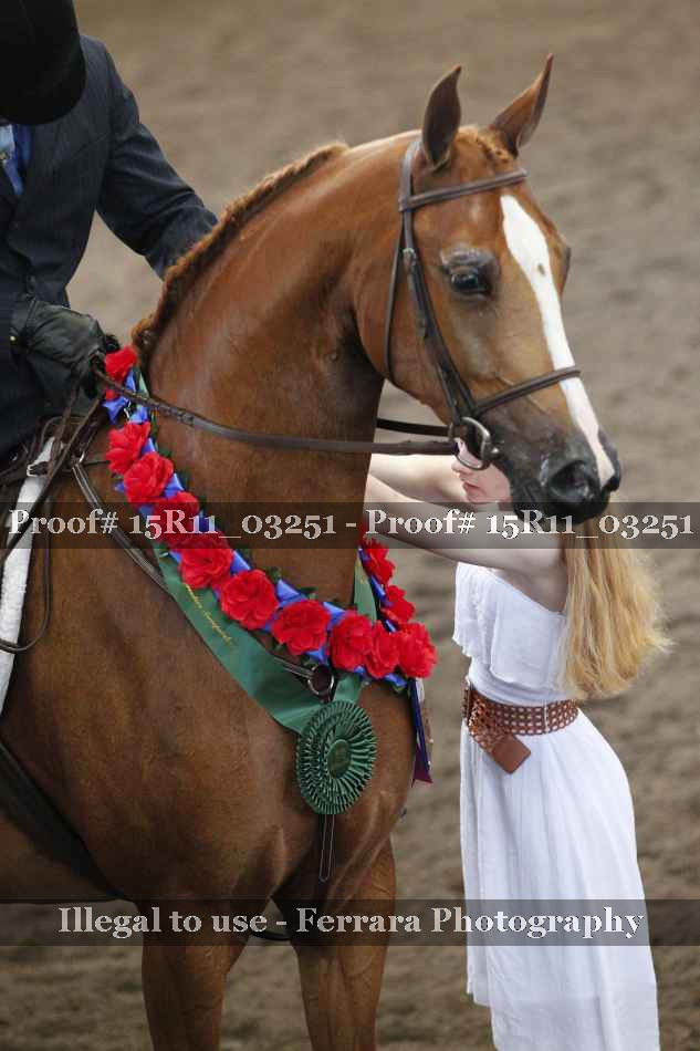 Proof 15R11_03251