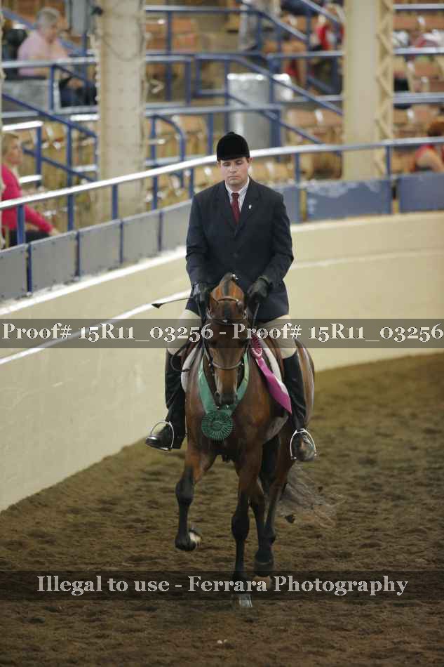 Proof 15R11_03256
