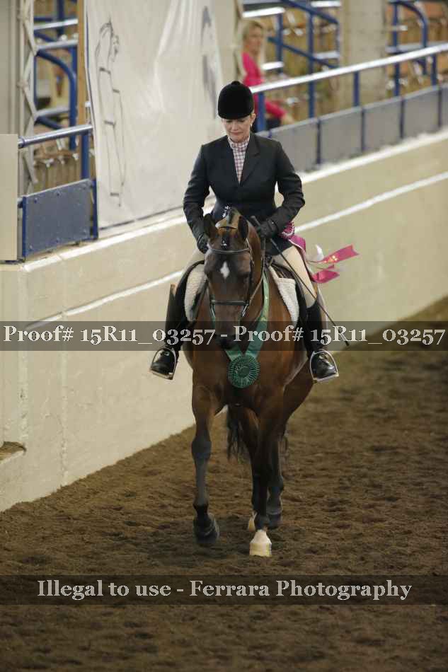 Proof 15R11_03257