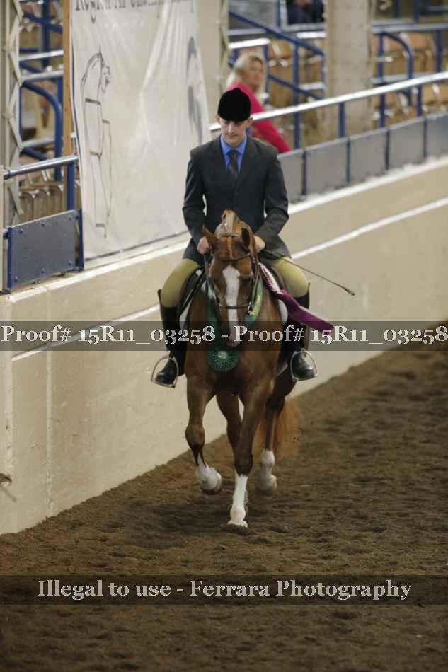 Proof 15R11_03258