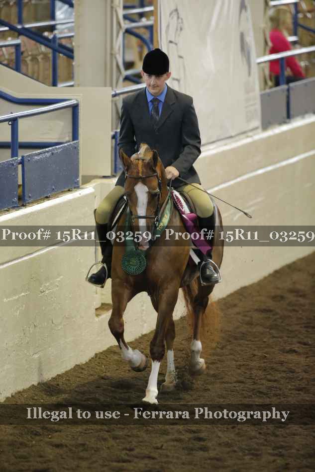 Proof 15R11_03259