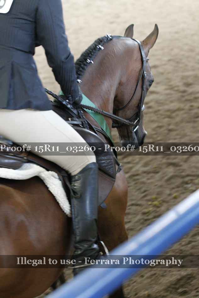 Proof 15R11_03260