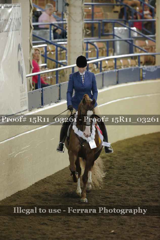 Proof 15R11_03261