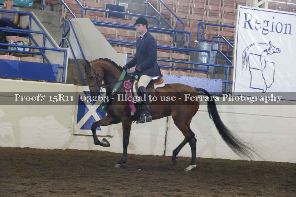 Proof 15R11_03263