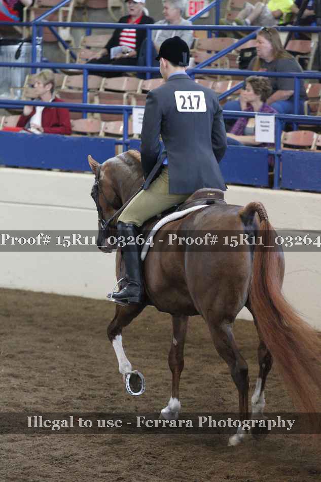 Proof 15R11_03264