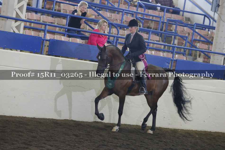 Proof 15R11_03265