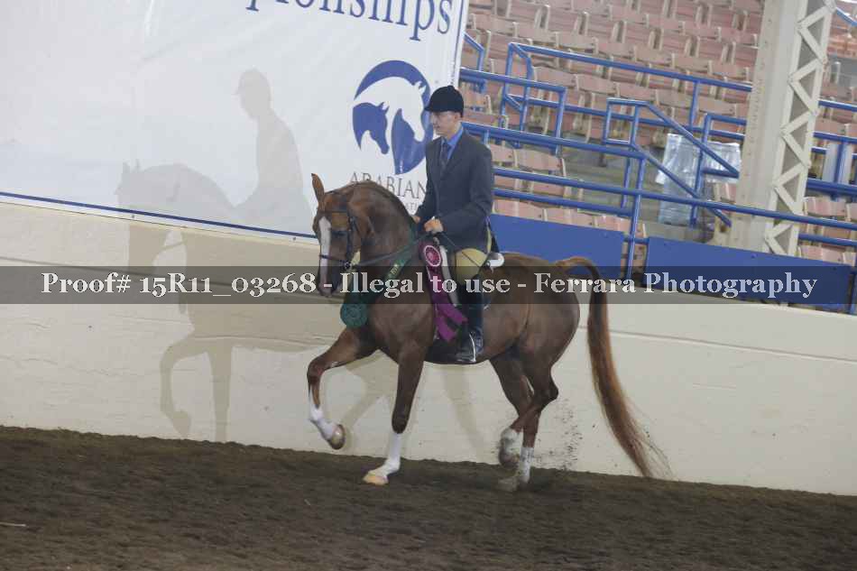 Proof 15R11_03268