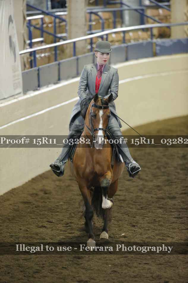 Proof 15R11_03282
