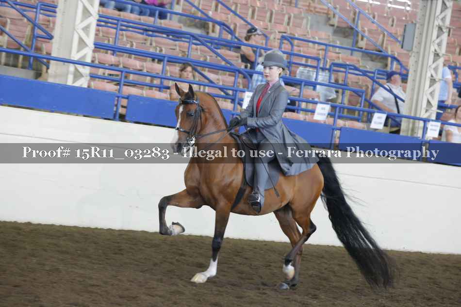 Proof 15R11_03283