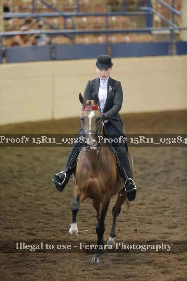 Proof 15R11_03284
