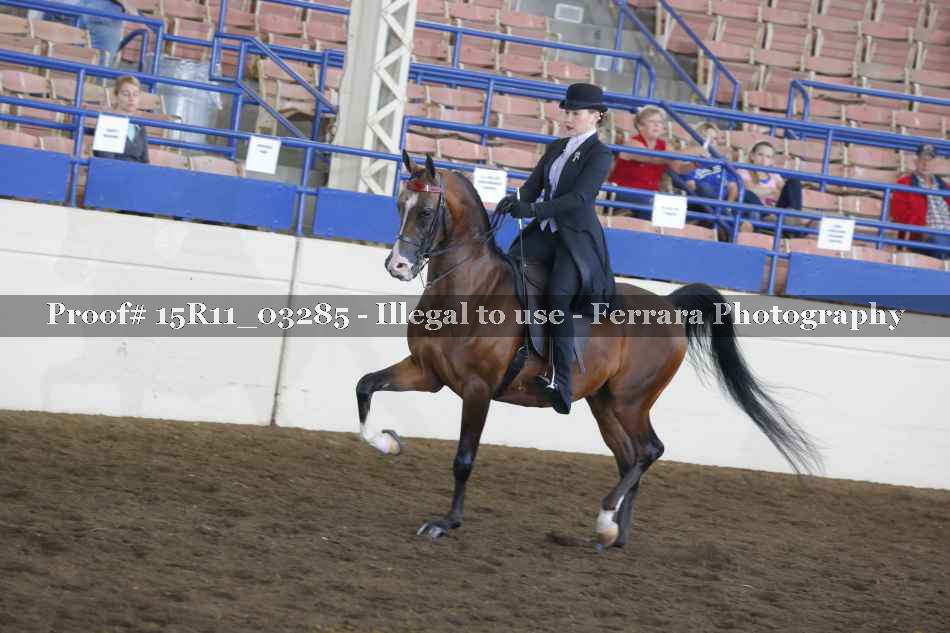 Proof 15R11_03285