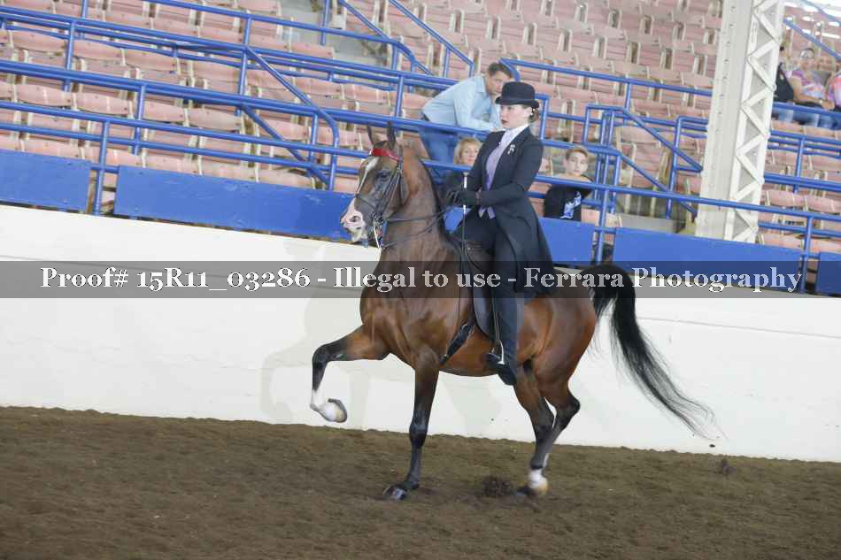 Proof 15R11_03286