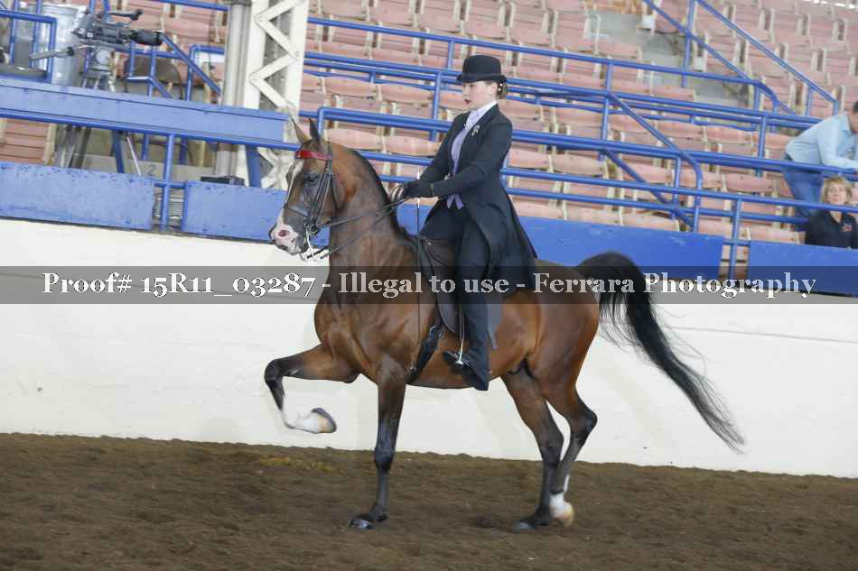 Proof 15R11_03287