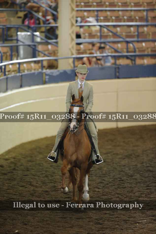 Proof 15R11_03288