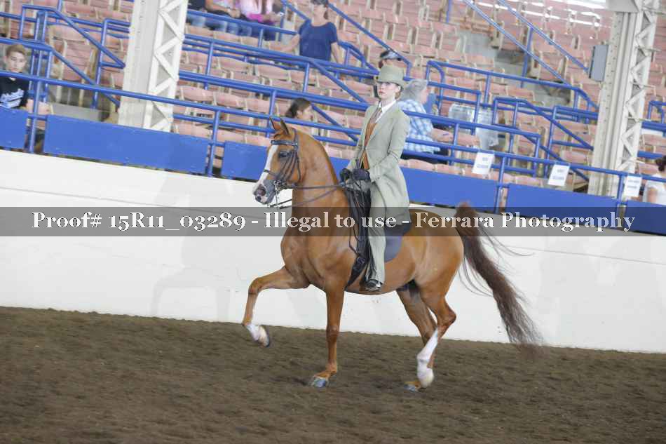 Proof 15R11_03289