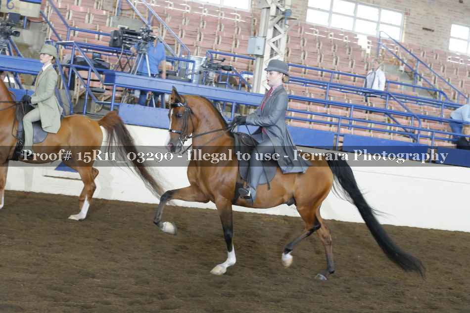 Proof 15R11_03290
