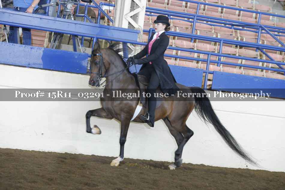 Proof 15R11_03291