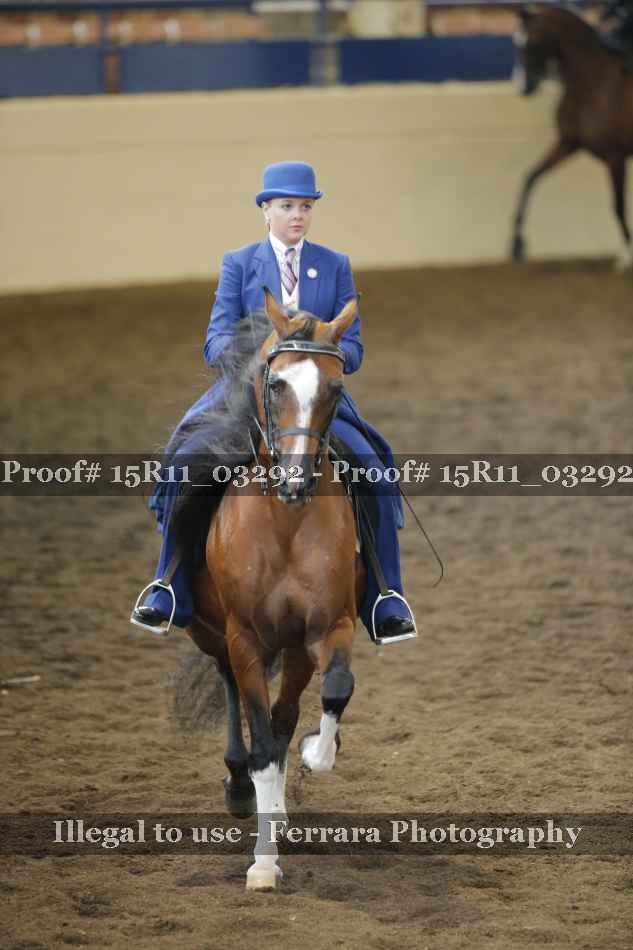 Proof 15R11_03292