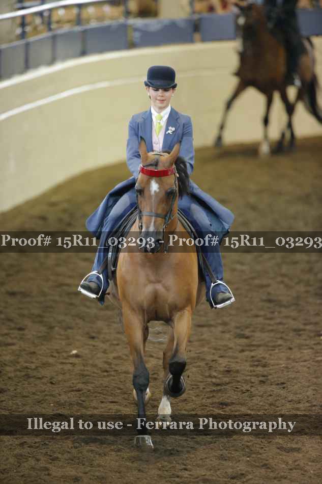 Proof 15R11_03293