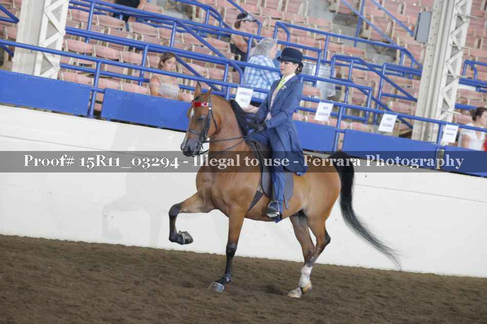 Proof 15R11_03294