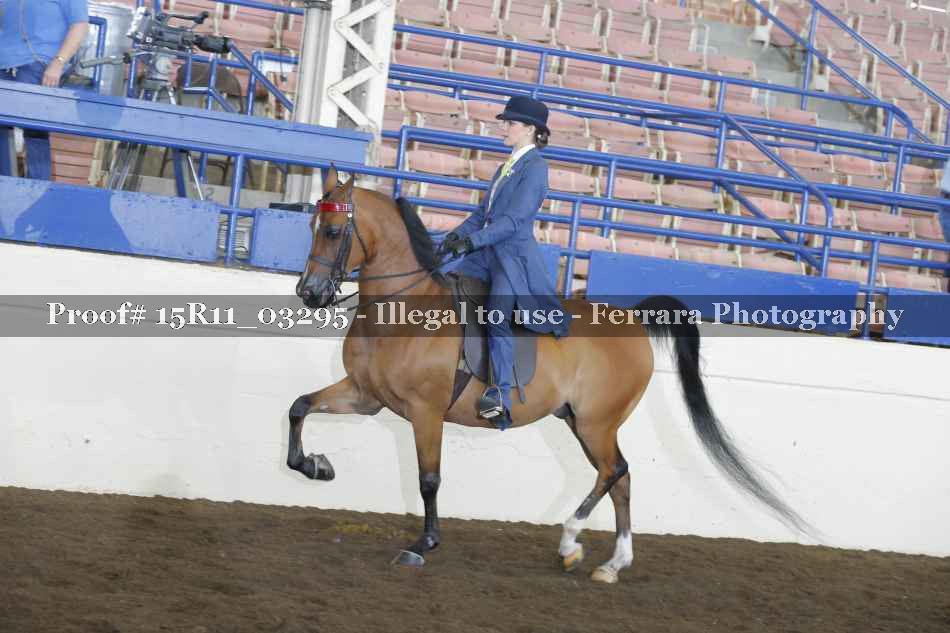 Proof 15R11_03295