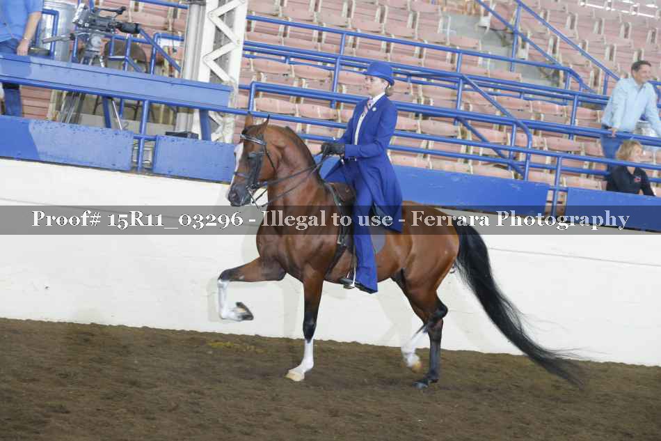 Proof 15R11_03296
