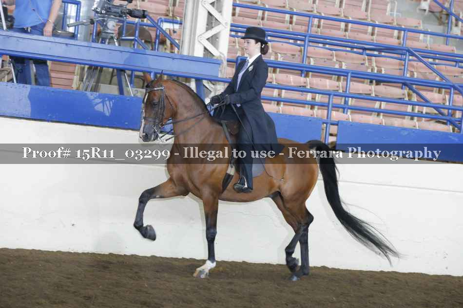 Proof 15R11_03299