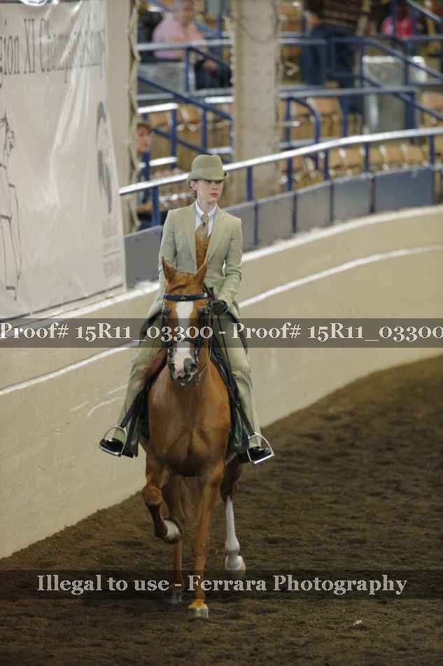 Proof 15R11_03300