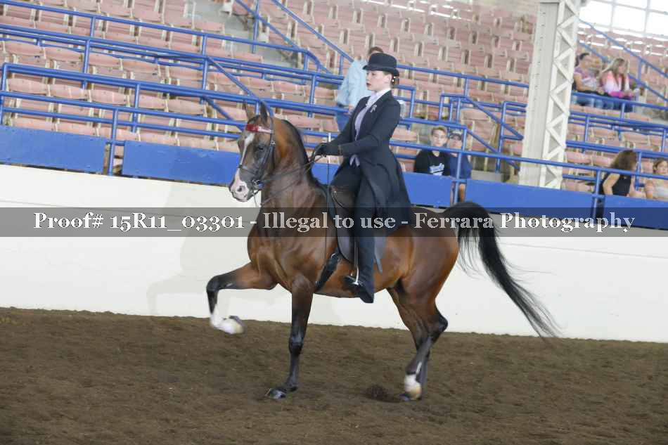 Proof 15R11_03301