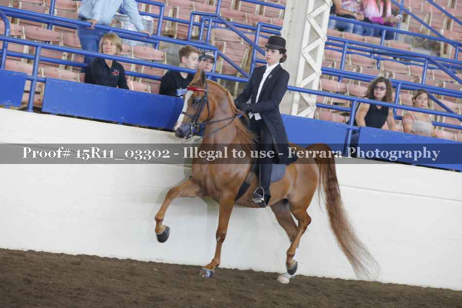 Proof 15R11_03302