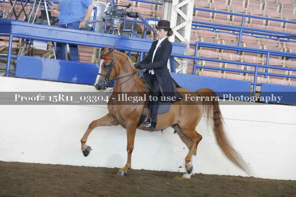 Proof 15R11_03304