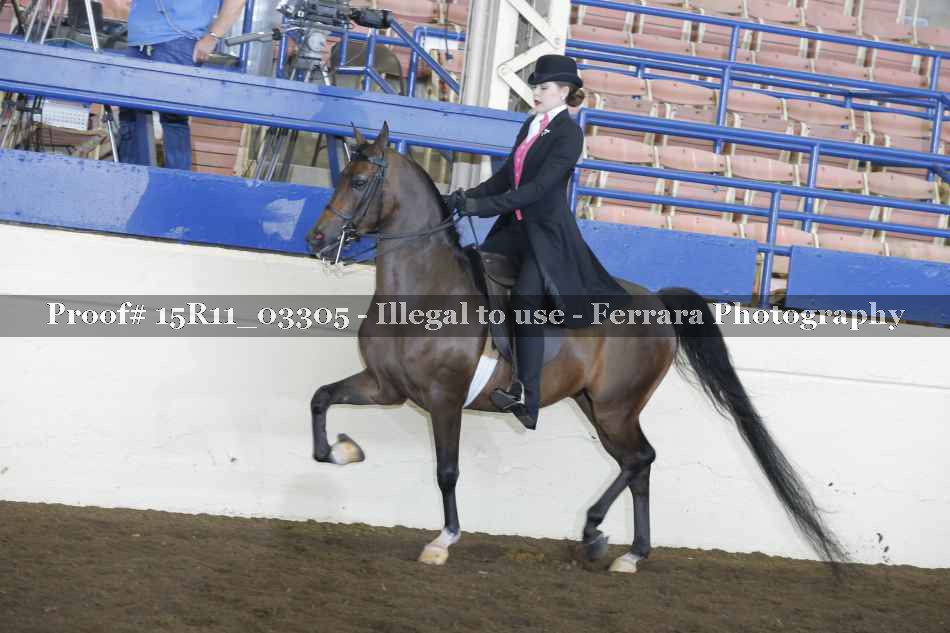 Proof 15R11_03305